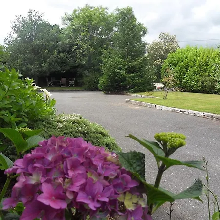 Ethan House Daire *