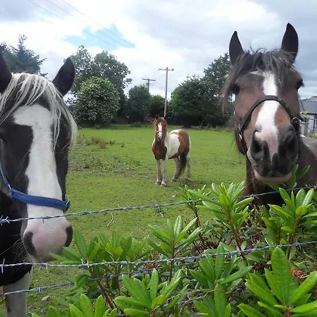 Ethan House Appartamento Cill Airne