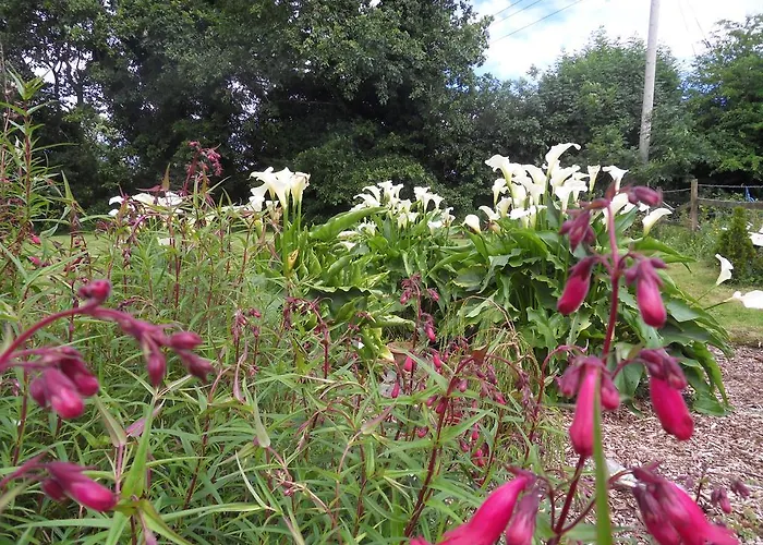 Ethan House Appartement *